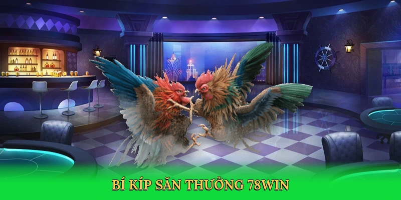 Đá Gà Thomo 78Win &#8211; Sân Chơi Cá Cược Kịch Tính Từ Campuchia