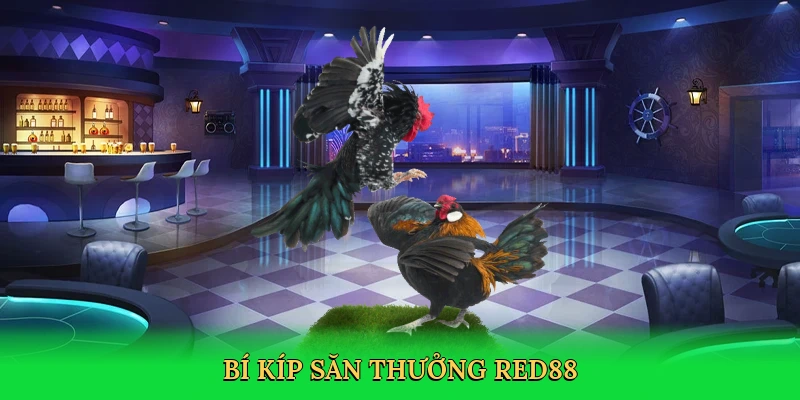 Đá Gà Trực Tiếp Thomo RED88 &#8211; Trải Nghiệm Cá Cược Đỉnh Cao