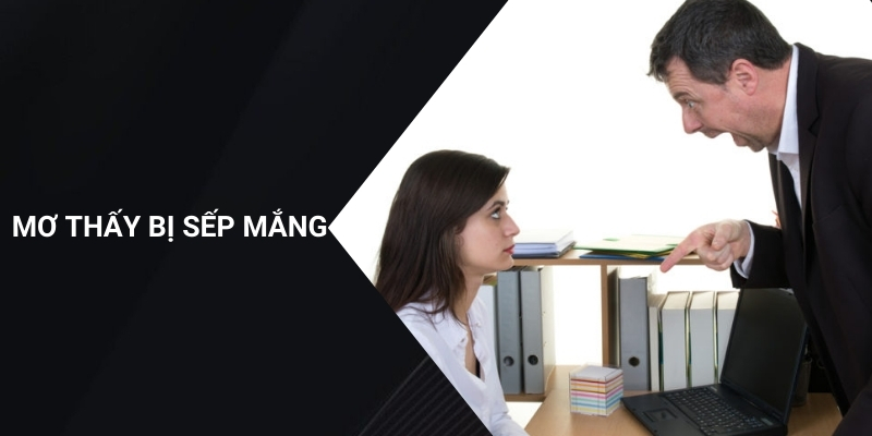 Mơ Thấy Bị Sếp Mắng