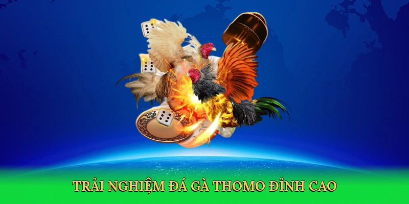Đá Gà Thomo 78Win &#8211; Sân Chơi Cá Cược Kịch Tính Từ Campuchia