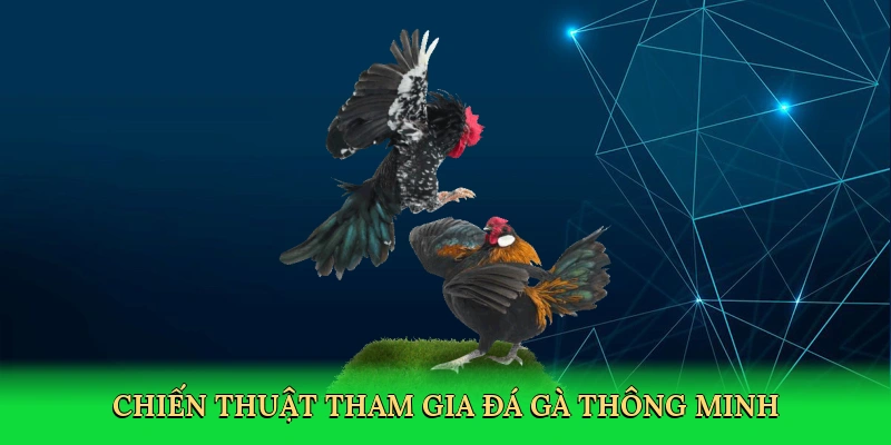 Chiến thuật tham gia đá gà thông minh