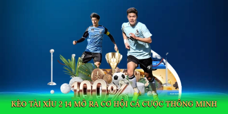 Kèo tài xỉu 2 1/4 mở ra cơ hội cá cược thông minh