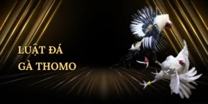 Nổ Hũ CQ9: Hành Trình Săn Kho Báu Số Trong Vương Quốc Slot Tại King88