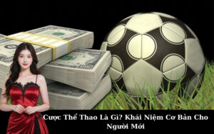 Bình Định FC – Miền Đất Võ Đến Với Bóng Đá