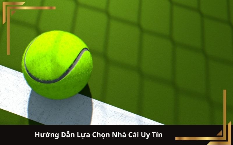 Hướng Dẫn Cược Quần Vợt: Cẩm Nang Chi Tiết