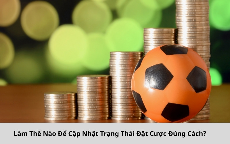 Cách Kiểm Tra Trạng Thái Đặt Cược Tại KingBet86