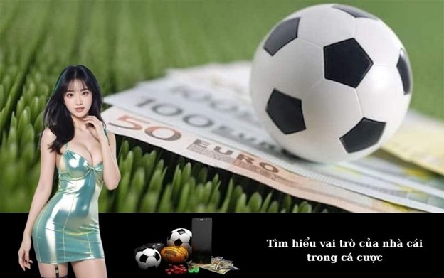 Nhà Cái Là Gì