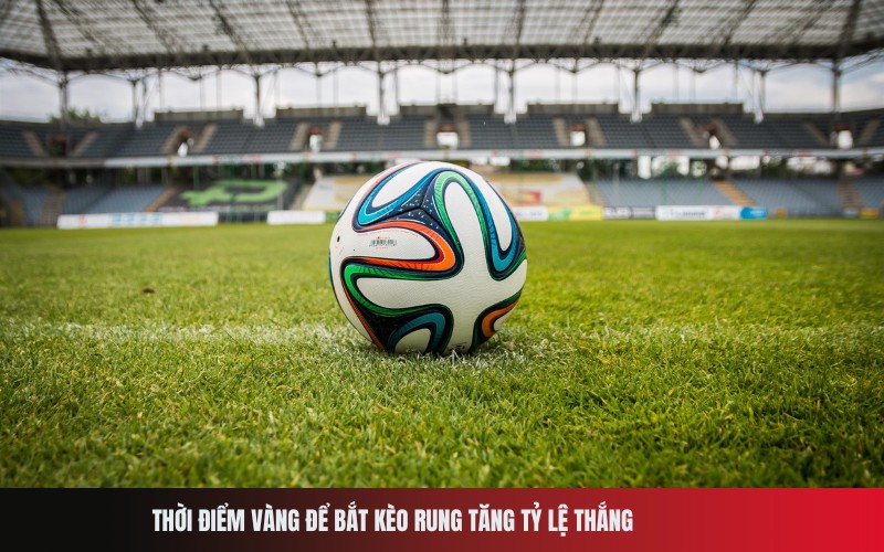 Thời điểm vàng để bắt kèo rung tăng tỷ lệ thắng