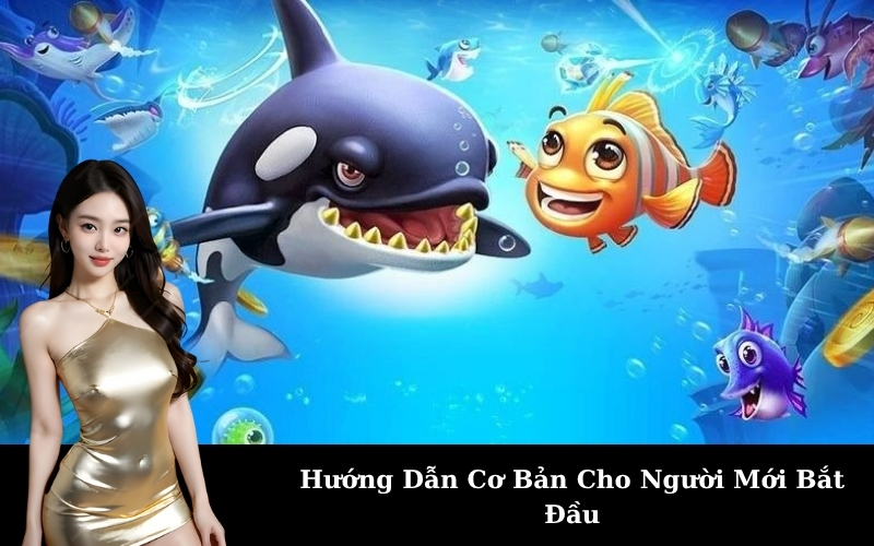 Hướng Dẫn Cơ Bản Cho Người Mới Bắt Đầu