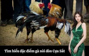Người hùng thầm lặng của MU khi hòa Arsenal